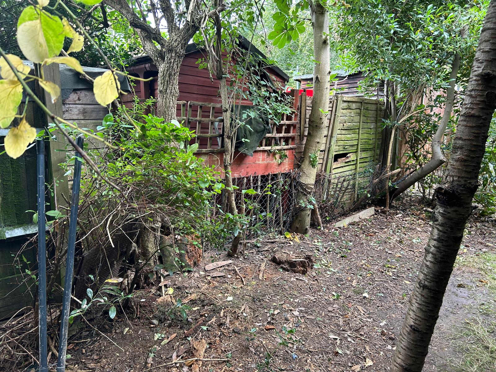 Garden design and outdoor space transformation